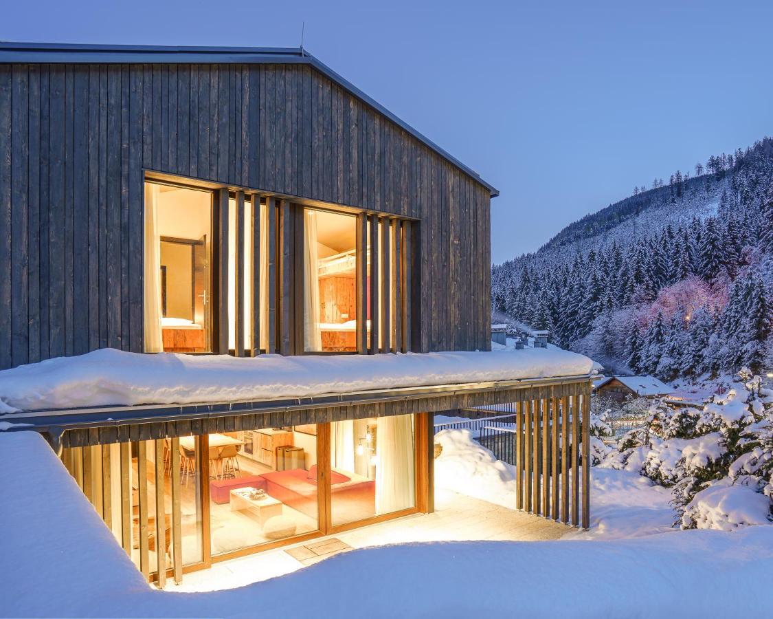 Max Relax Summercard Included Ski In-Ski Out Zell am See Ngoại thất bức ảnh